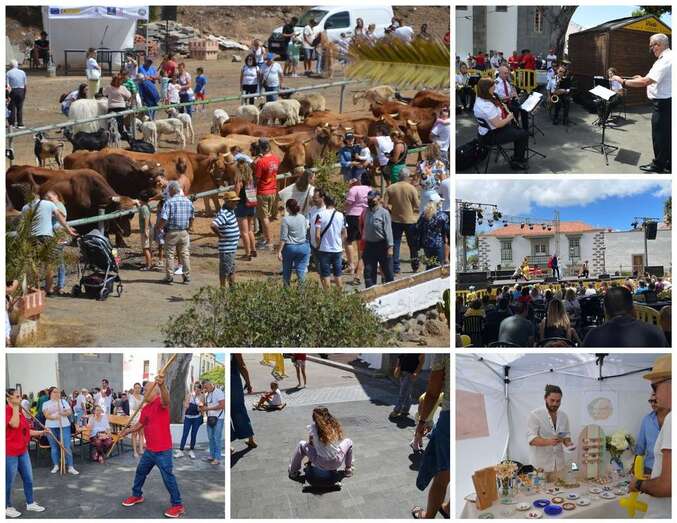 Muestra de ganado/TA.